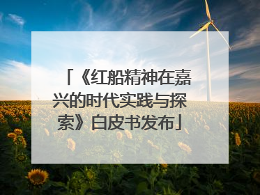 《红船精神在嘉兴的时代实践与探索》白皮书发布