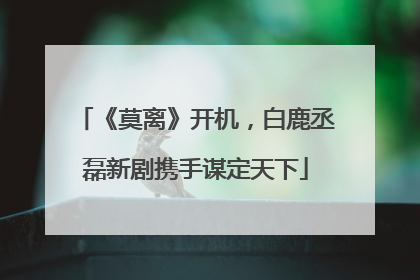 《莫离》开机，白鹿丞磊新剧携手谋定天下