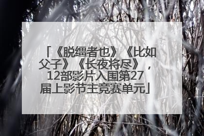 《脱缰者也》《比如父子》《长夜将尽》，12部影片入围第27届上影节主竞赛单元
