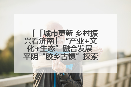 「城市更新 乡村振兴看济南」“产业+文化+生态”融合发展 平阴“胶乡古镇”探索振兴路径成效显著