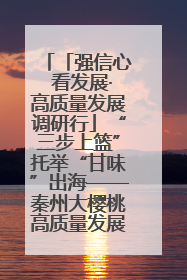 「强信心 看发展·高质量发展调研行」“三步上篮”托举“甘味”出海——秦州大樱桃高质量发展动作分解