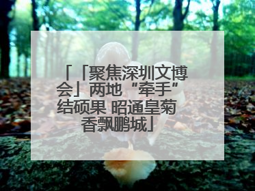 「聚焦深圳文博会」两地“牵手”结硕果 昭通皇菊香飘鹏城
