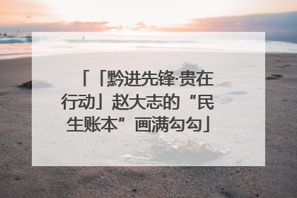 「黔进先锋·贵在行动」赵大志的“民生账本”画满勾勾