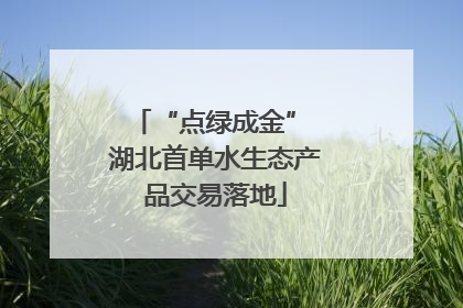 “点绿成金” 湖北首单水生态产品交易落地