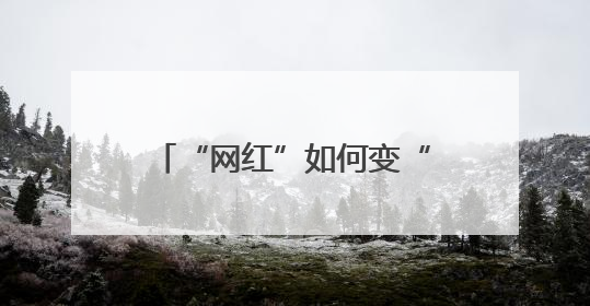 “网红”如何变“长红”——“一朵花”激活城市文化基因的破题之路