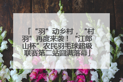 “羽”动乡村，“村羽”再度来袭！“江郎山杯”农民羽毛球超级联赛第二站圆满落幕