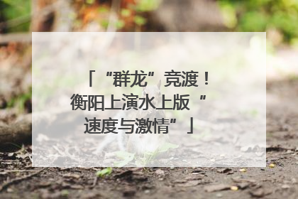 “群龙”竞渡！衡阳上演水上版“速度与激情”