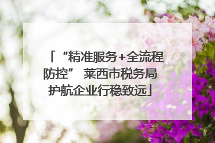 “精准服务+全流程防控” 莱西市税务局护航企业行稳致远
