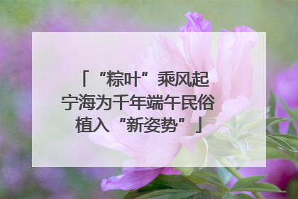 “粽叶”乘风起 宁海为千年端午民俗植入“新姿势”