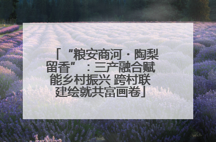 “粮安商河・陶梨留香”：三产融合赋能乡村振兴 跨村联建绘就共富画卷