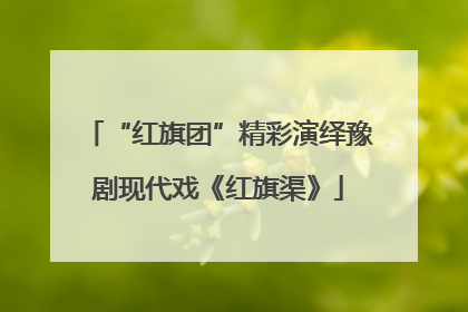 “红旗团”精彩演绎豫剧现代戏《红旗渠》