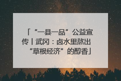“一县一品”公益宣传丨武冈：卤水里熬出“草根经济”的醇香