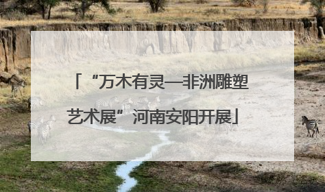 “万木有灵—非洲雕塑艺术展”河南安阳开展