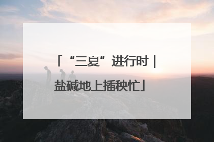 “三夏”进行时｜盐碱地上插秧忙