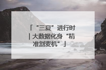 “三夏”进行时｜大数据化身“精准割麦机”