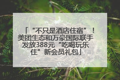 “不只是酒店住宿”！美团生态和万豪国际联手发放388元“吃喝玩乐住”新会员礼包