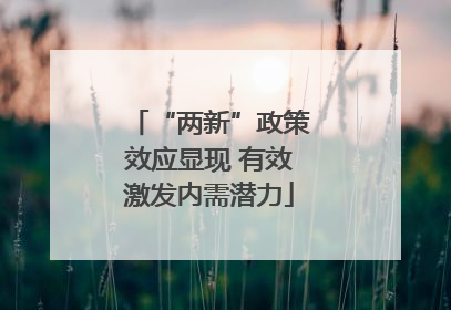 “两新”政策效应显现 有效激发内需潜力