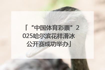 “中国体育彩票”2025哈尔滨花样滑冰公开赛成功举办