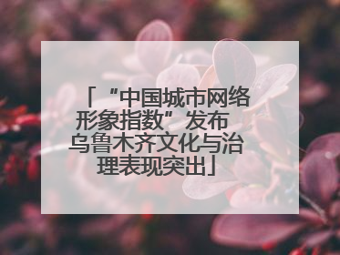“中国城市网络形象指数”发布 乌鲁木齐文化与治理表现突出