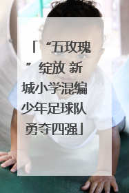 “五玫瑰”绽放 新城小学混编少年足球队勇夺四强