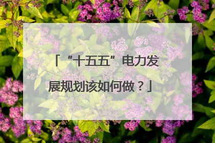 “十五五”电力发展规划该如何做？