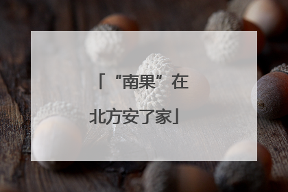 “南果”在北方安了家