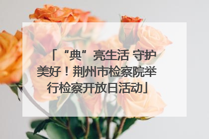 “典”亮生活 守护美好！荆州市检察院举行检察开放日活动