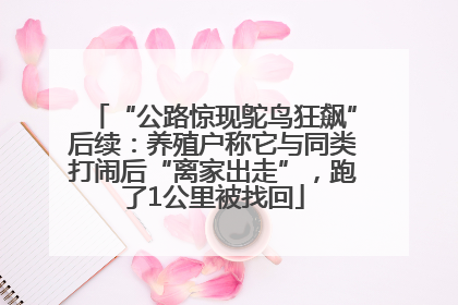 “公路惊现鸵鸟狂飙”后续：养殖户称它与同类打闹后“离家出走”，跑了1公里被找回