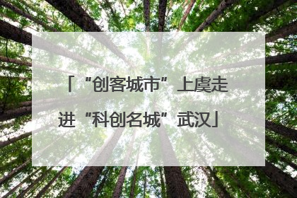 “创客城市”上虞走进“科创名城”武汉