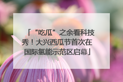“吃瓜”之余看科技秀！大兴西瓜节首次在国际氢能示范区启幕