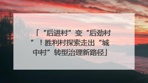 “后进村”变“后劲村”！胜利村探索走出“城中村”转型治理新路径