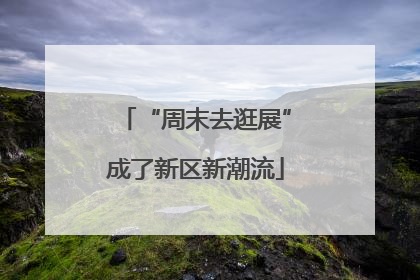 “周末去逛展”成了新区新潮流