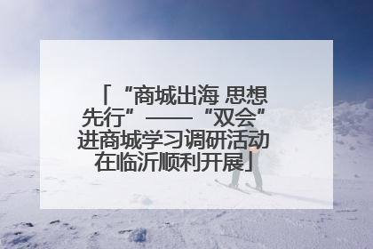 “商城出海 思想先行”——“双会”进商城学习调研活动在临沂顺利开展