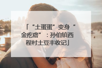“土蛋蛋”变身“金疙瘩”：孙伯镇西程村土豆丰收记
