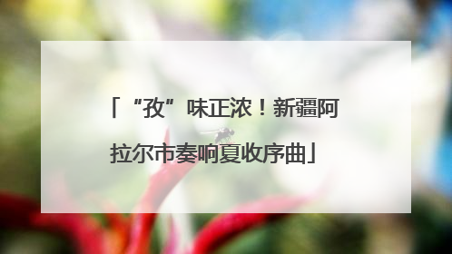 “孜”味正浓！新疆阿拉尔市奏响夏收序曲