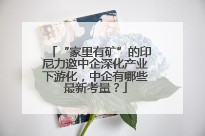 “家里有矿”的印尼力邀中企深化产业下游化，中企有哪些最新考量？