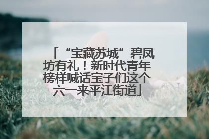 “宝藏苏城”碧凤坊有礼！新时代青年榜样喊话宝子们这个六一来平江街道
