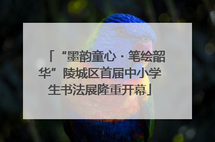 “墨韵童心・笔绘韶华”陵城区首届中小学生书法展隆重开幕