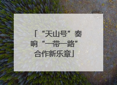 “天山号”奏响“一带一路”合作新乐章