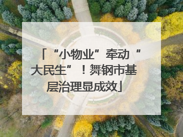 “小物业”牵动“大民生”！舞钢市基层治理显成效