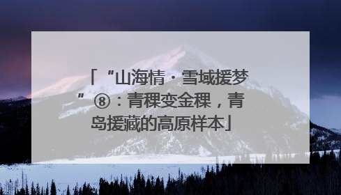 “山海情・雪域援梦”⑧：青稞变金稞，青岛援藏的高原样本