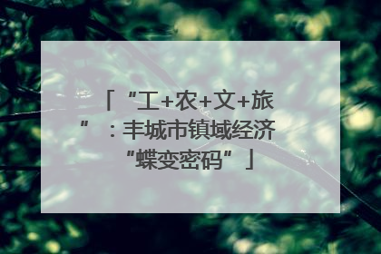 “工+农+文+旅”：丰城市镇域经济“蝶变密码”