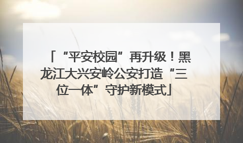 “平安校园”再升级！黑龙江大兴安岭公安打造“三位一体”守护新模式