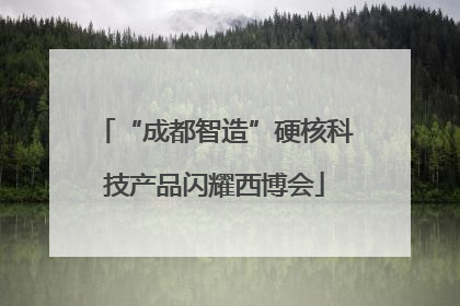 “成都智造”硬核科技产品闪耀西博会