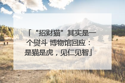 “招财猫”其实是一个熨斗 博物馆回应：是猫是虎，见仁见智