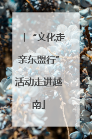 “文化走亲东盟行”活动走进越南