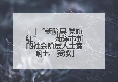 “新阶层 党旗红”——菏泽市新的社会阶层人士奏响七一赞歌