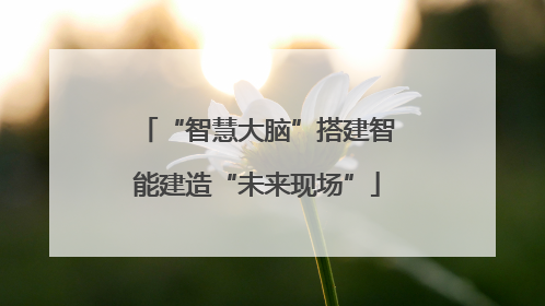 “智慧大脑”搭建智能建造“未来现场”
