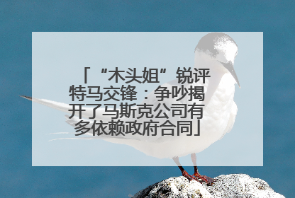 “木头姐”锐评特马交锋：争吵揭开了马斯克公司有多依赖政府合同