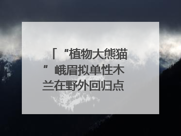 “植物大熊猫”峨眉拟单性木兰在野外回归点首次开花